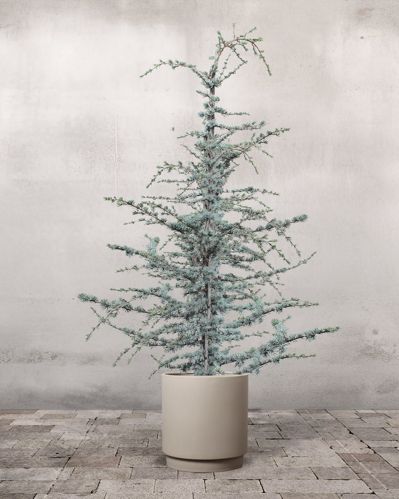 type=Simple krukke/color=Light Sand