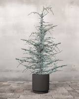 type=Simple krukke/color=Warm Black