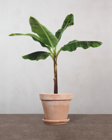 type=Terracotta krukke/color=Terracotta