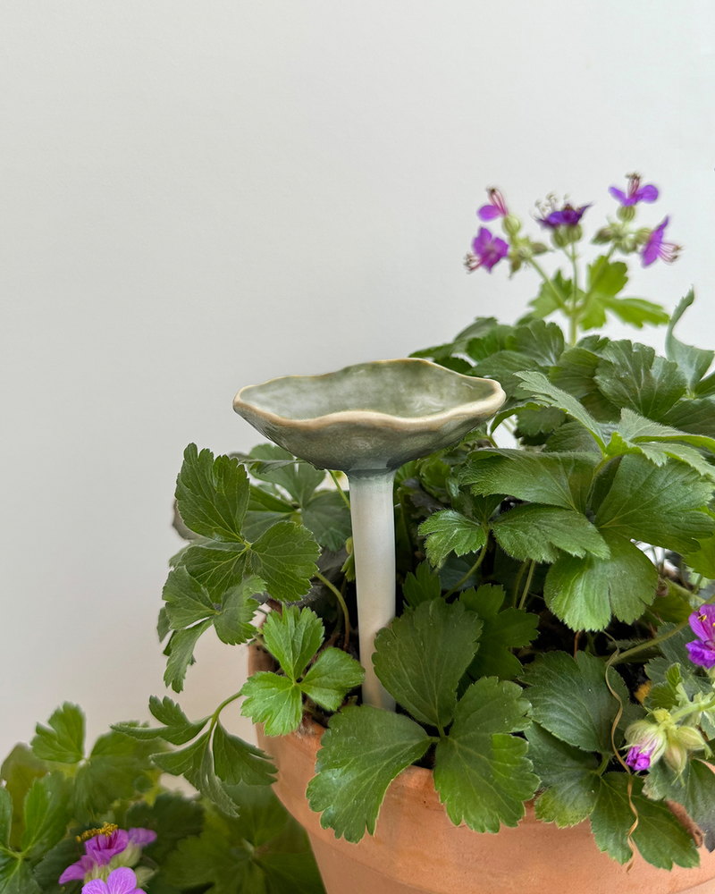 Bee Cup