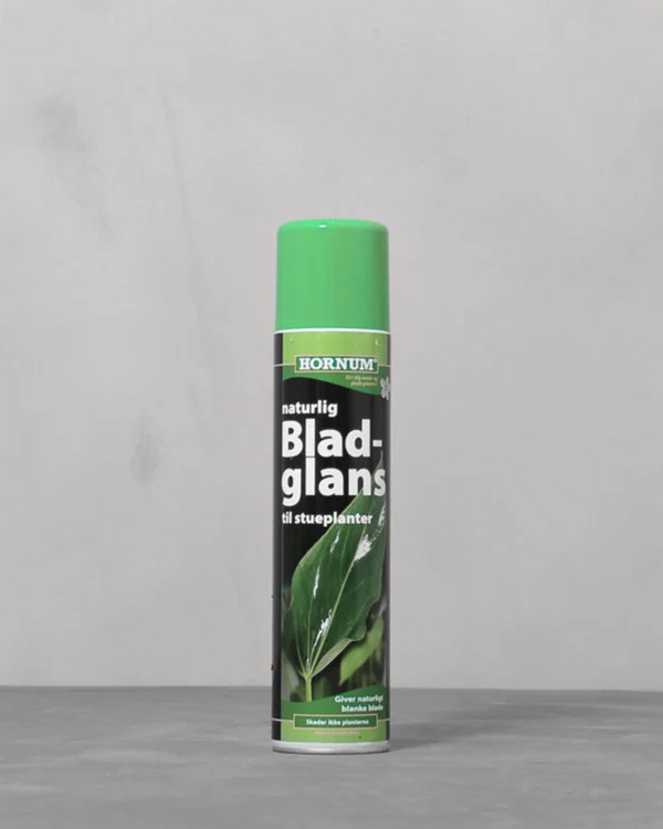 Bladglans