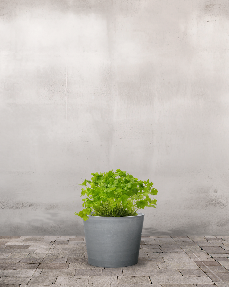 type=Greenify Udendørskrukke/color=Grå