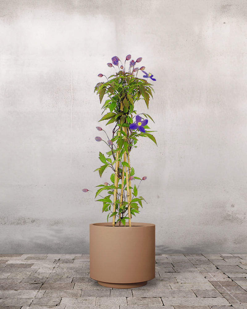 type=Simple krukke/color=Pale Terracotta