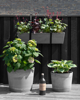 type=Greenify Udendørskrukke/color=Grå