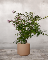 type=Simple krukke/color=Pale Terracotta
