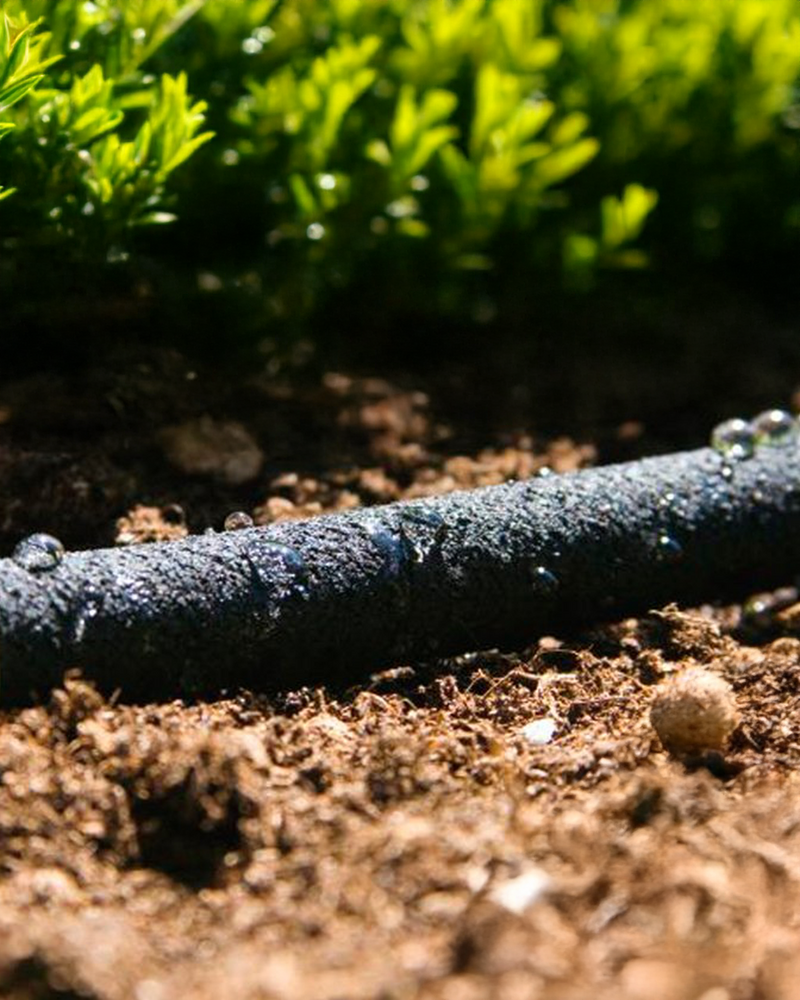 Drypslange - 1 m - inkl. tilkobling, samlestykke & endeprop