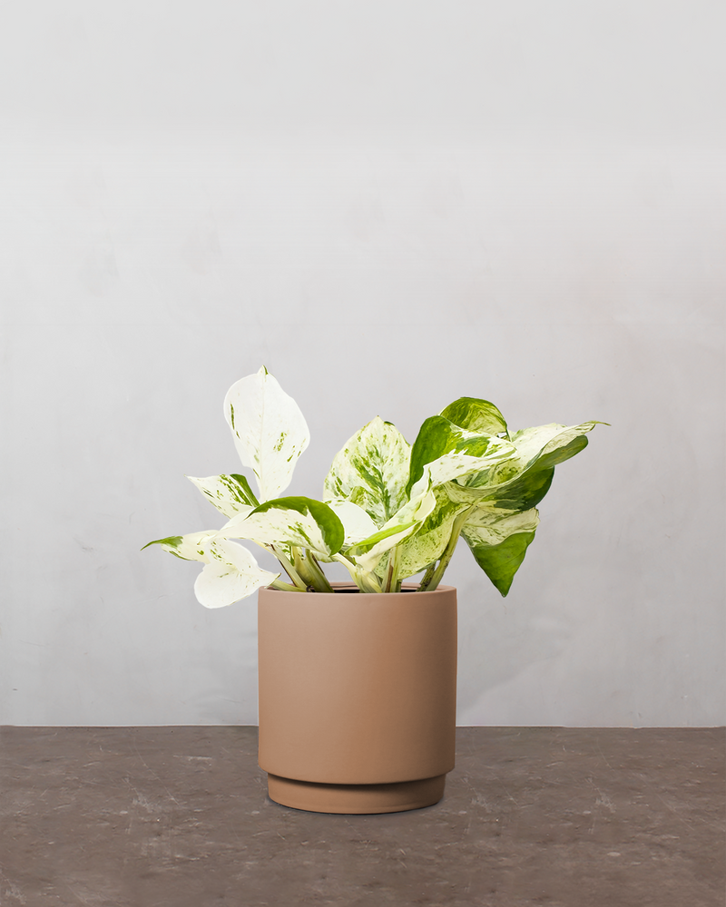 type=Simple krukke/color=Pale Terracotta