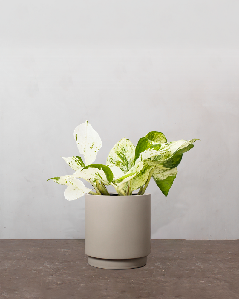 type=Simple krukke/color=Light Sand