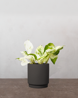 type=Simple krukke/color=Warm Black
