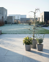 Det Grågrønne Krukkesæt - Sæt á 3 Greenify Udendørskrukker