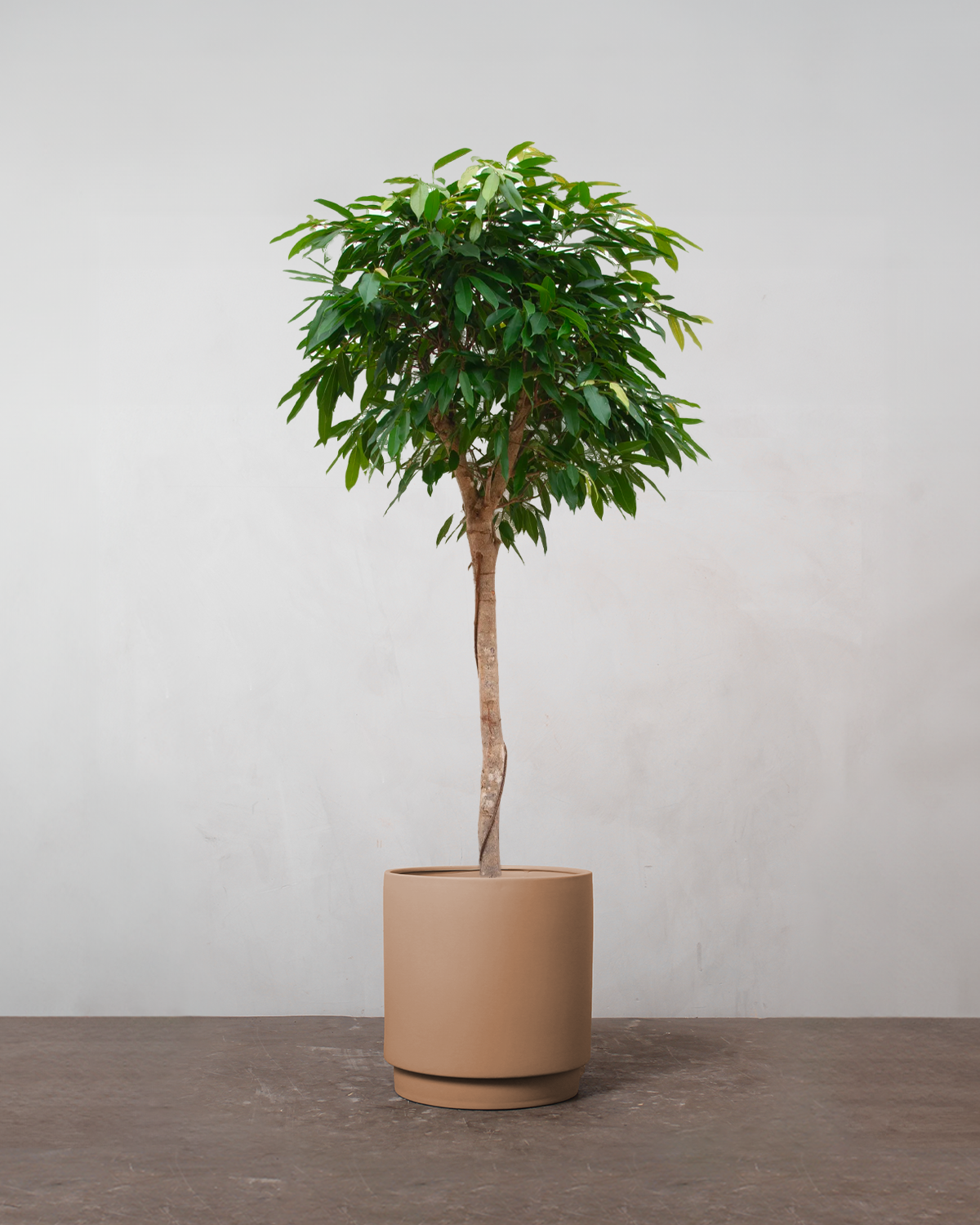 store-stueplanter-side-2-greenify