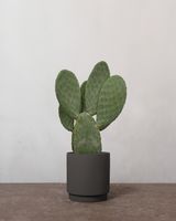 type=Simple krukke/color=Warm Black