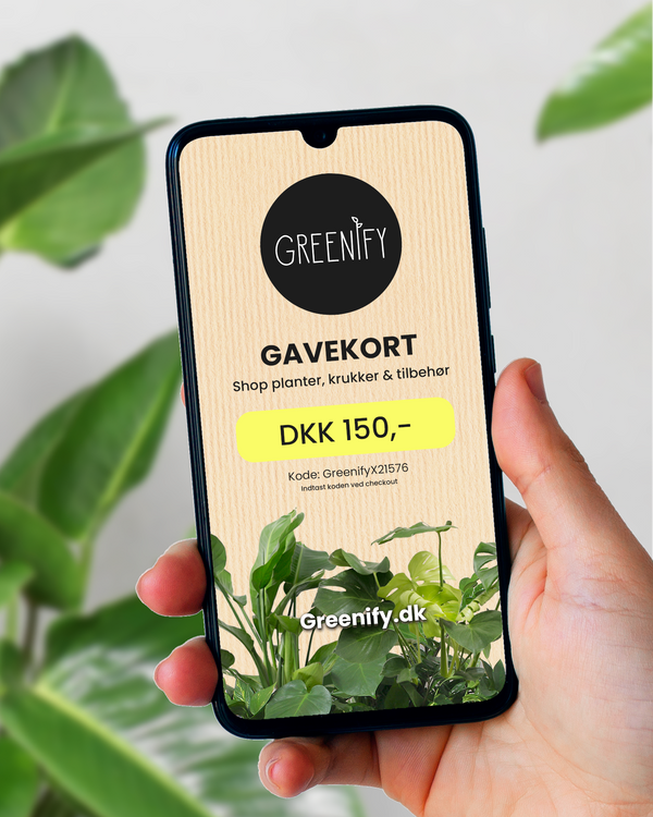 Gavekort - Digitalt