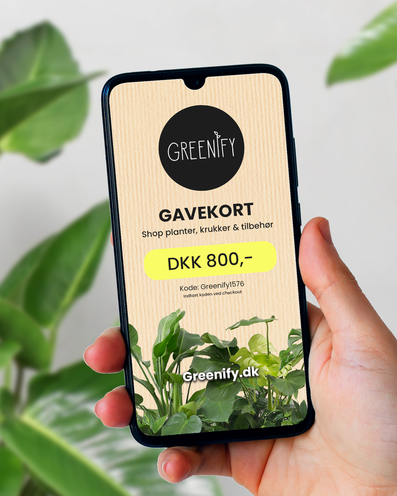 Gavekort - Digitalt