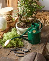 HAWS The Rowley Ripple 1 L Vandkande - Green