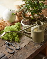 HAWS The Rowley Ripple 1 L Vandkande - Lichen Green