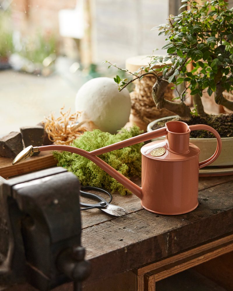 HAWS The Rowley Ripple 1 L Vandkande - Pink Clay