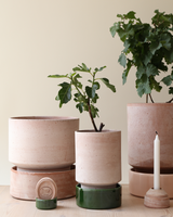 Hoff Krukke - Raw Rosa