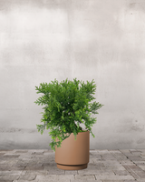 type=Simple krukke/color=Pale Terracotta