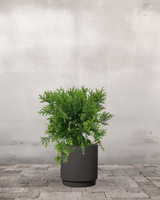 type=Simple krukke/color=Warm Black