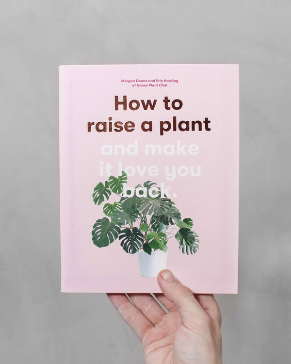 How to raise a plant and make it love you back