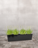 type=Greenify Faerdigfyldtaltankasse/color=Sort