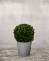 type=Greenify Udendørskrukke/color=Grå