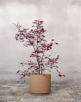 type=Simple Pot Lite/color=Pale Terracotta