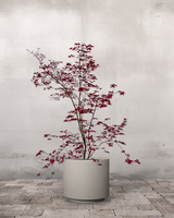 type=Simple Pot Lite/color=Light Sand