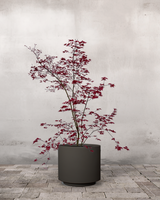 type=Simple Pot Lite/color=Warm Black