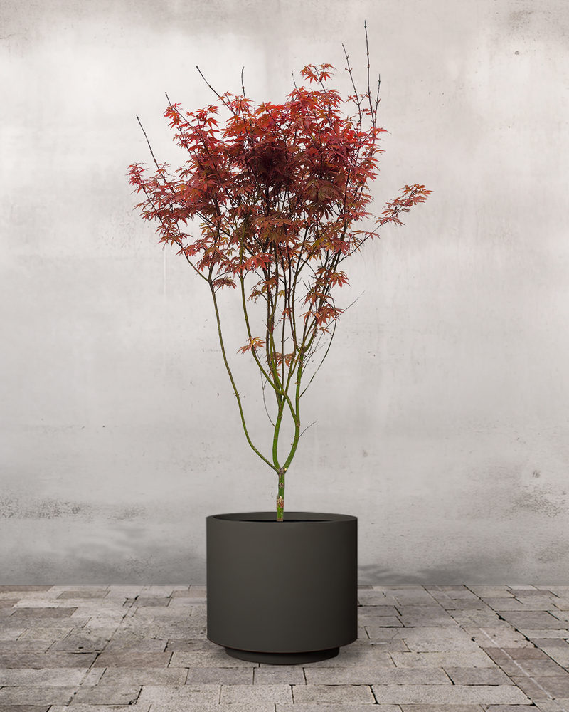 type=Simple krukke/color=Warm Black