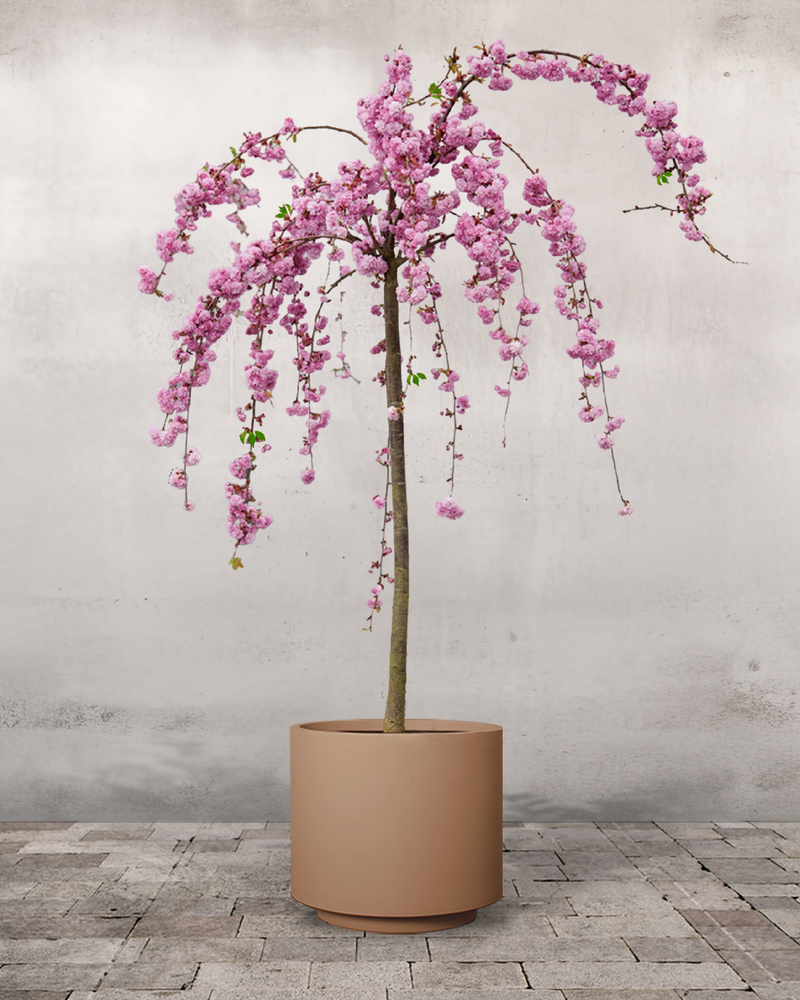 type=Simple krukke/color=Pale Terracotta