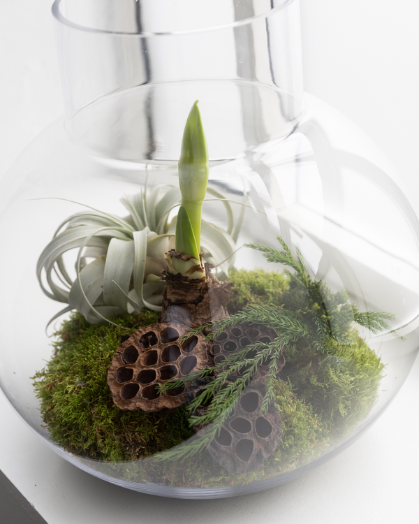 Årets juledekoration fra Greenify – eksklusiv julestemning i grønne nuancer