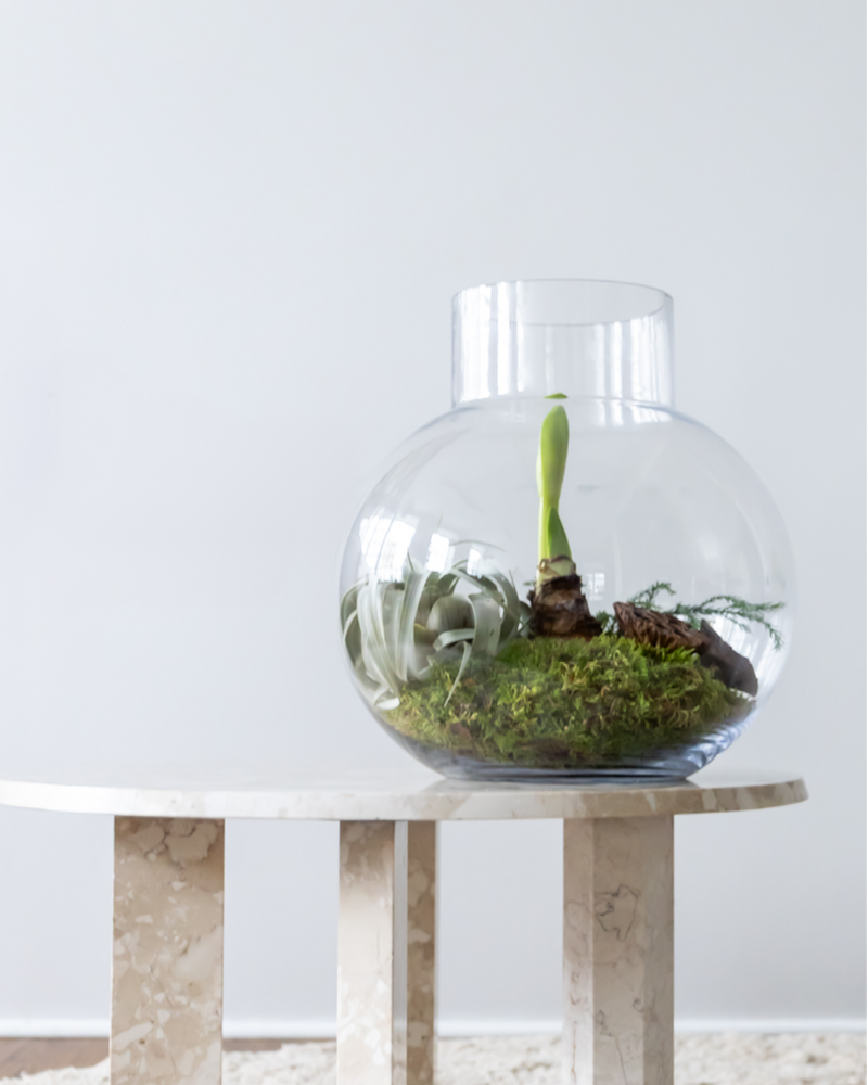 Årets juledekoration fra Greenify – eksklusiv julestemning i grønne nuancer