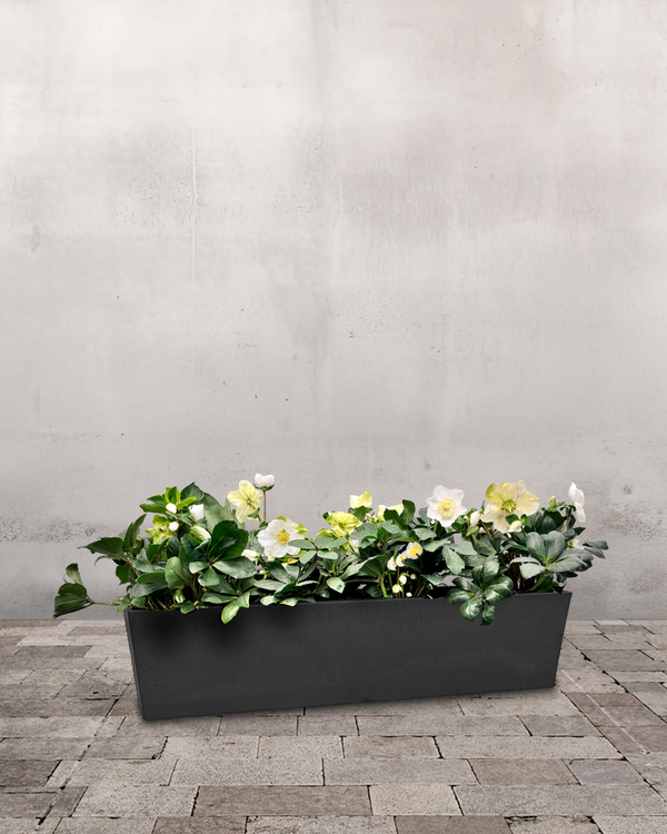 type=Greenify Udendørskrukke/color=Sort