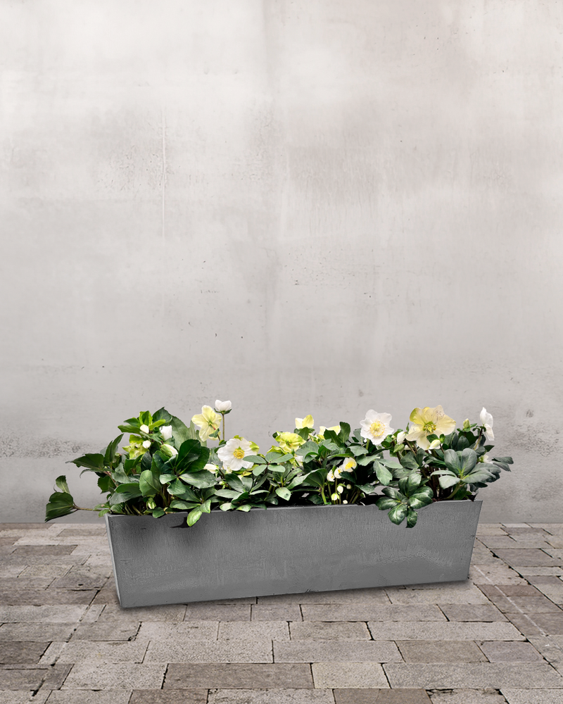 type=Greenify Udendørskrukke/color=Grå