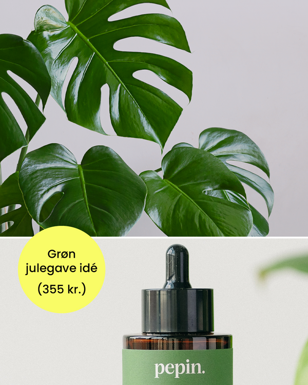 Grøn Julegavepakke: Monstera & Plantenæring