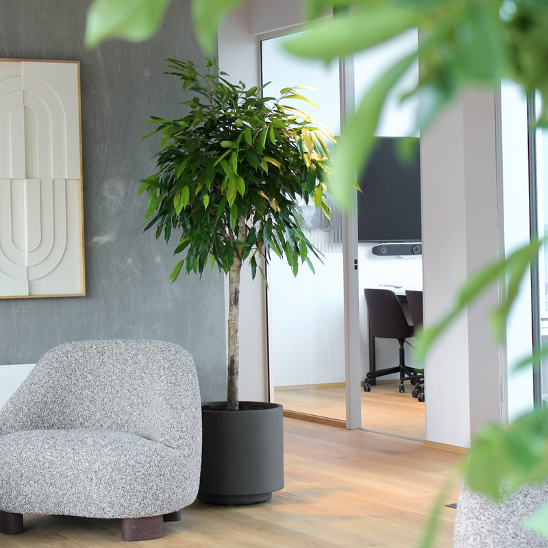 Simple Pot Lite - Warm Balck - Ø62
