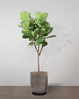 type=Glaseret krukke/color=Nougat