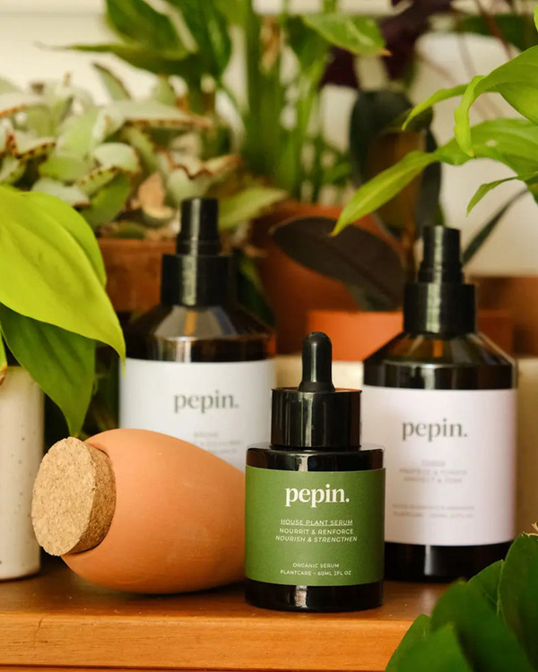 Plantcare Routine - Pepin