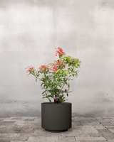 type=Simple krukke/color=Warm Black