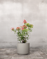 type=Simple krukke/color=Light Sand