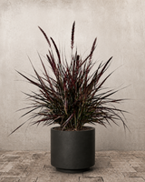type=Simple krukke/color=Warm Black