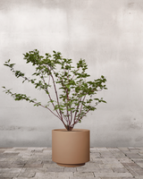type=Simple krukke/color=Pale Terracotta