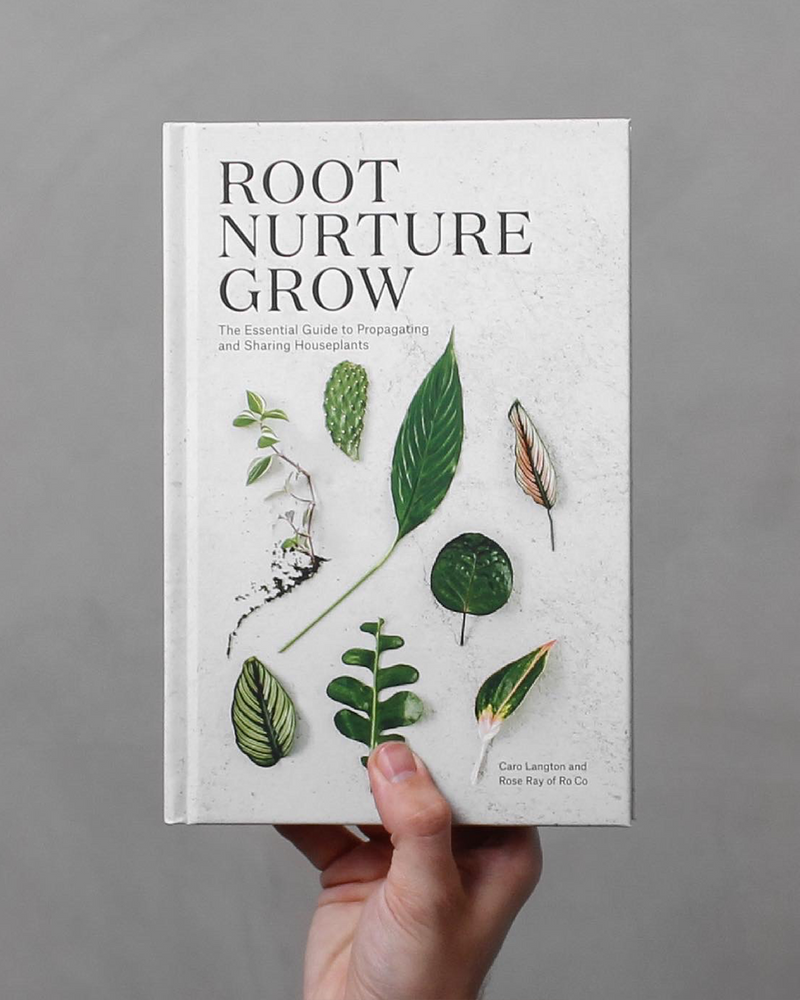 Root Nurture Grow