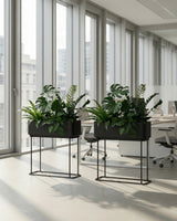 Simple Box Plantepakke - Flere varianter