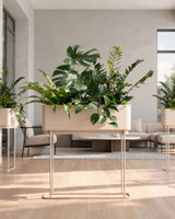 Simple Box Plantepakke - Flere varianter