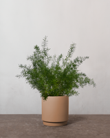 type=Simple krukke/color=Pale Terracotta