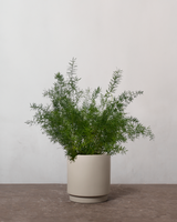 type=Simple krukke/color=Light Sand