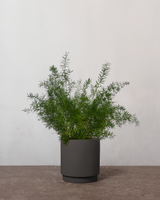 type=Simple krukke/color=Warm Black